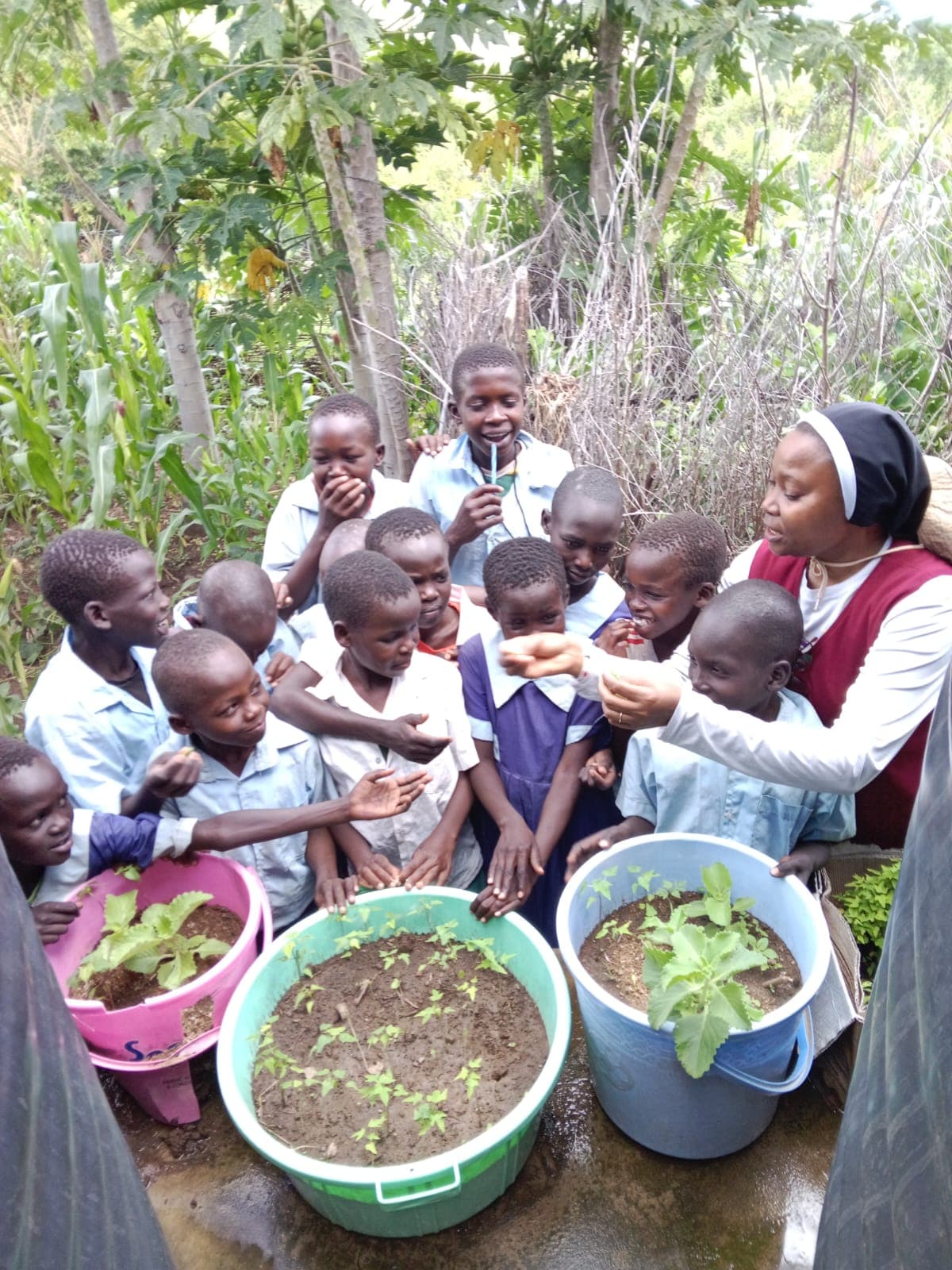 Kitchen gardening and livelihood learning in Rotu, Baringo